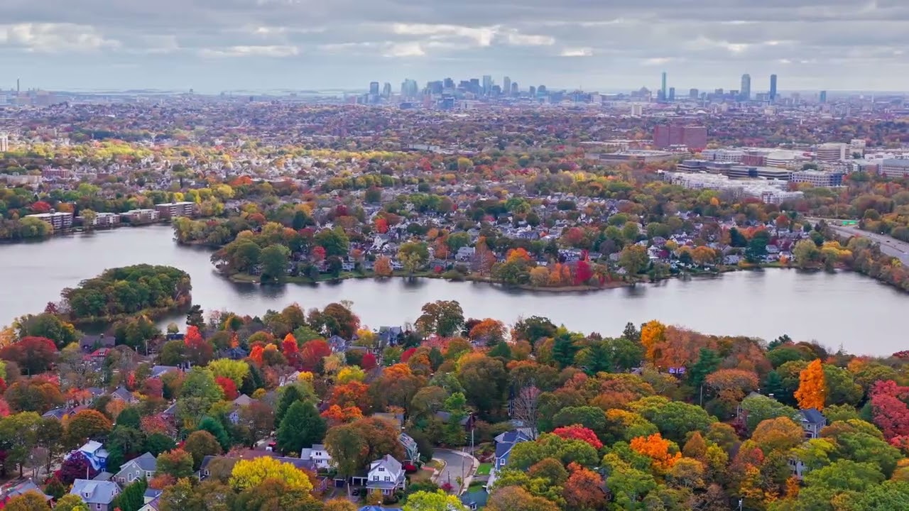 Parks of Arlington