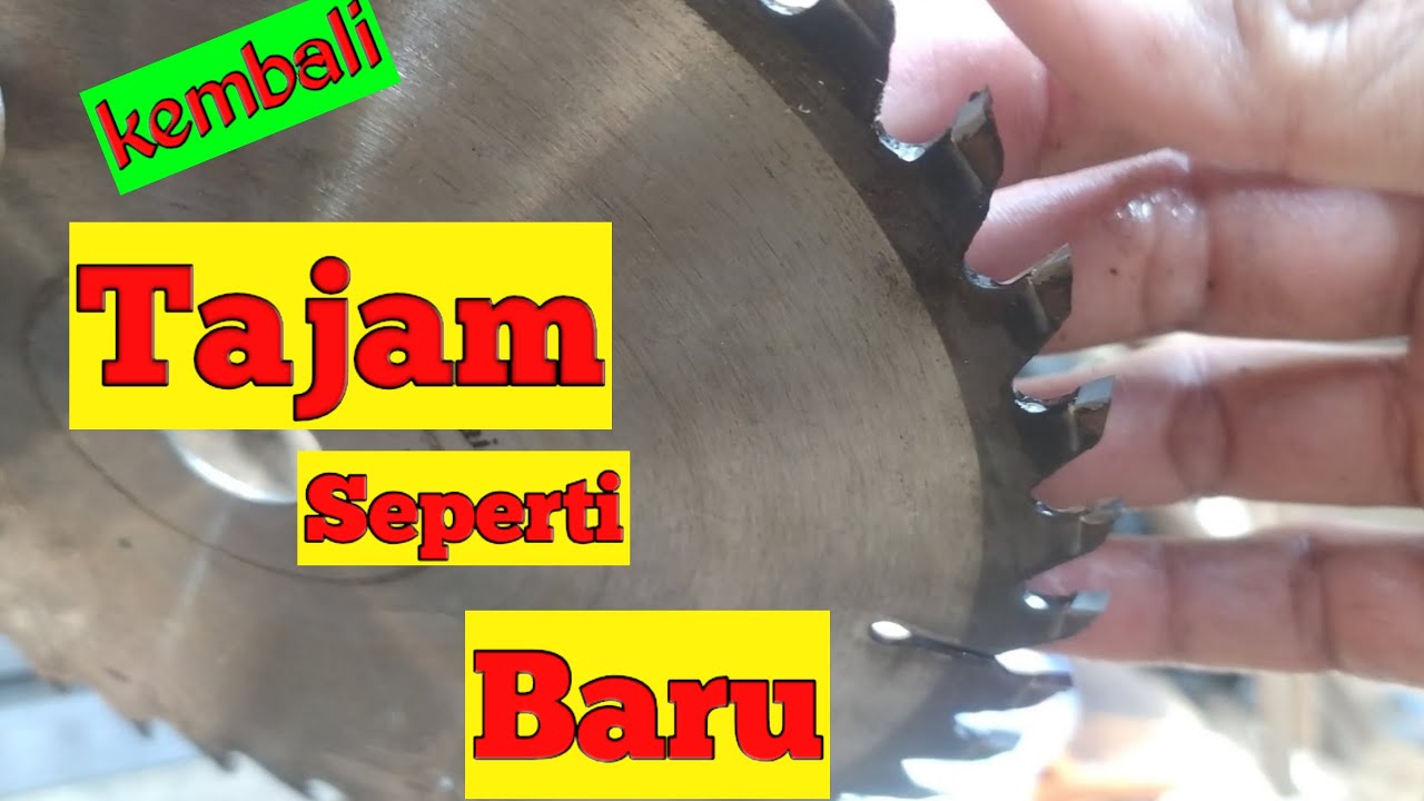 cara mengasah gergaji serkel agar tajamnya seperti baru