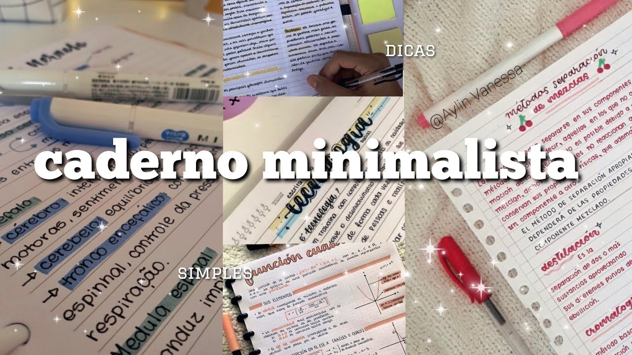 Como ter um caderno minimalista e bonito | Rebeca Borges 📒✨️