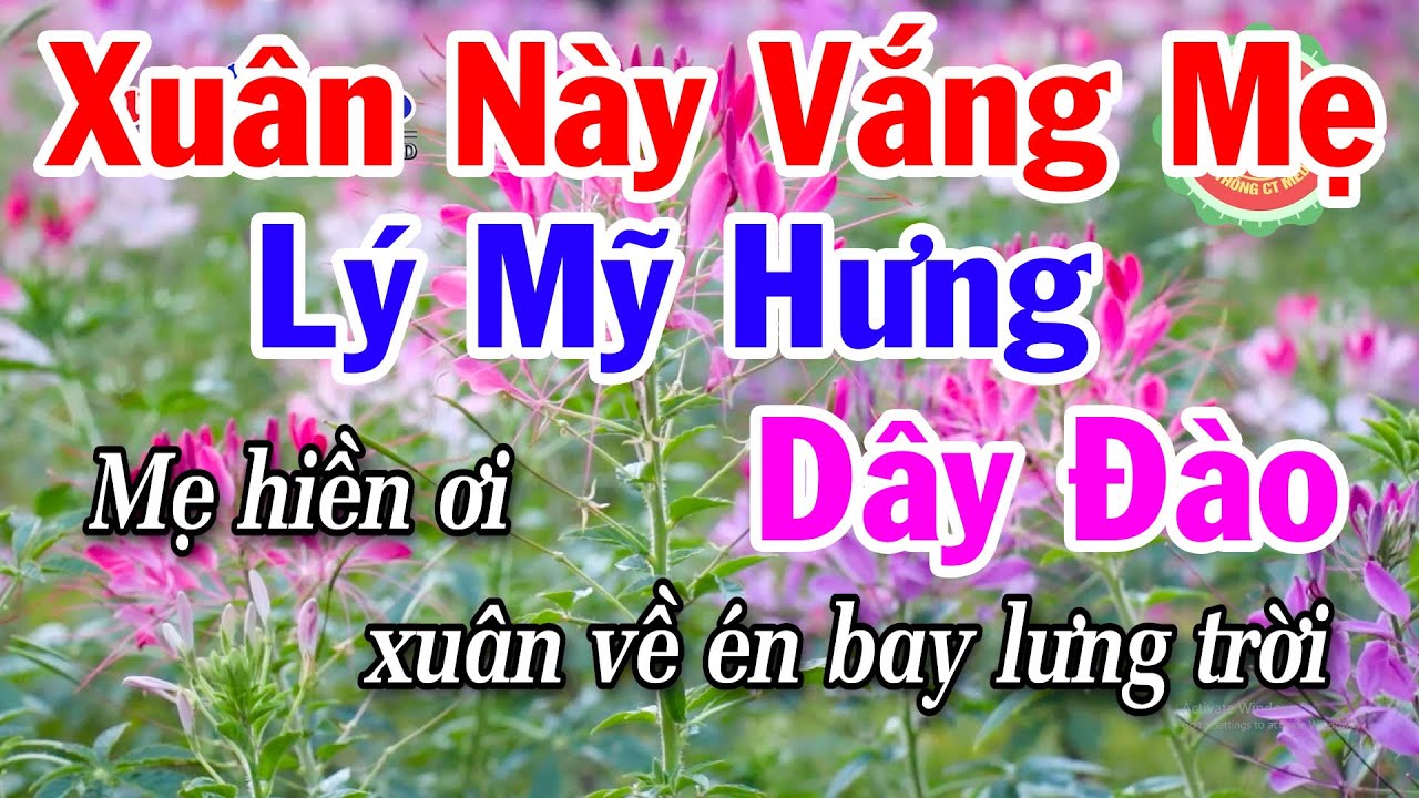 Karaoke Xuân Này Vắng Mẹ - Lý Mỹ Hưng Dây Đào Beat Dễ Hát - Điệu Lý Cải Lương