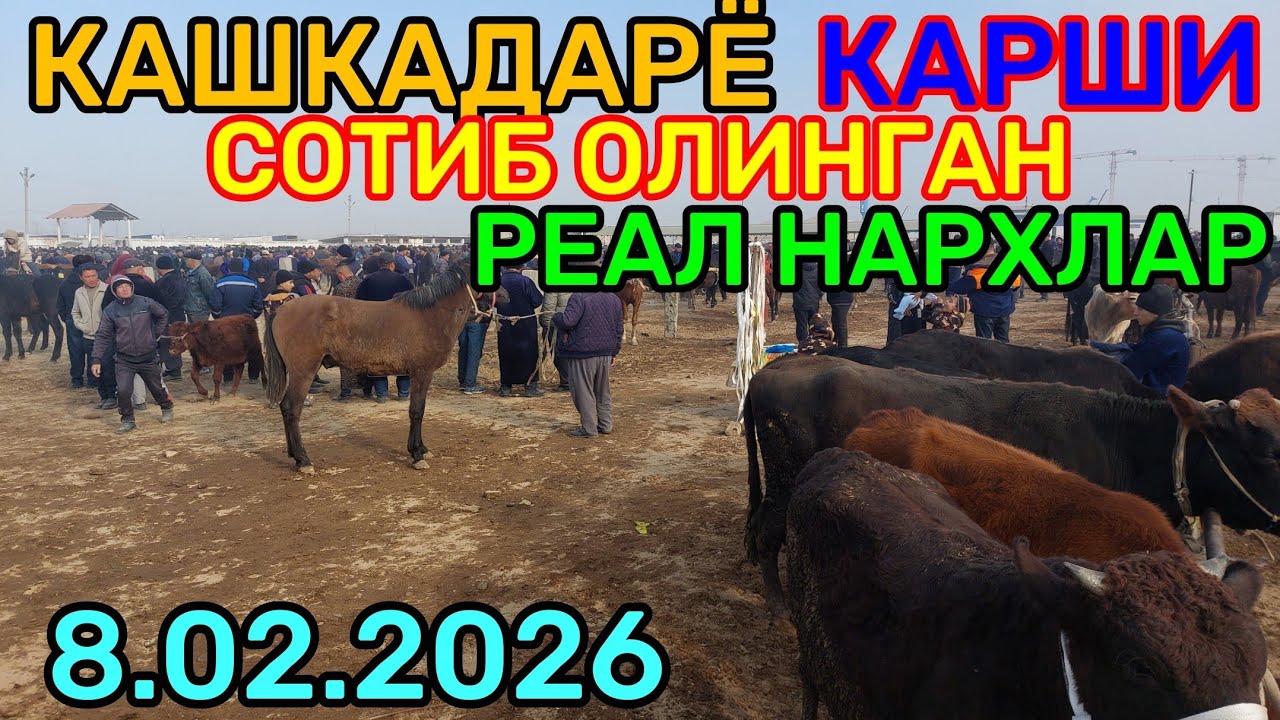 8.02.2026 СОТИБ ОЛИНГАН РЕАЛ НАРХЛАР КАРШИ КАРВОН МОЛ БОЗОРИДА 