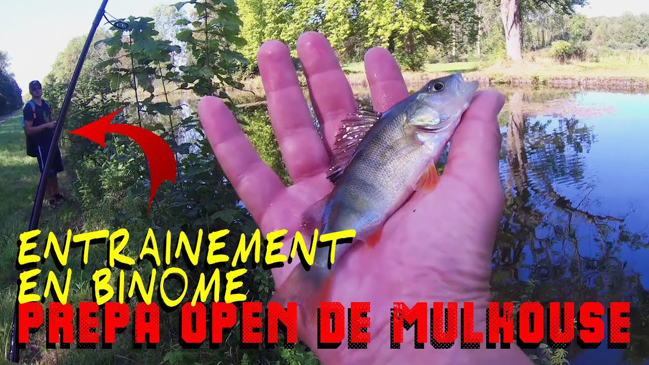 PETITE SESSION DE RODAGE POUR PRÉPARER L'OPEN STREETFISHING DE LA FÉDÉ 68 AVEC MON BINOME