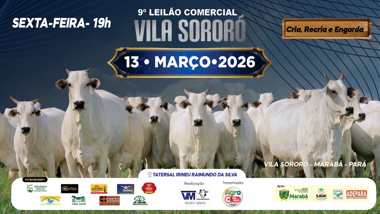9º LEILÃO COMERCIAL DA VILA SORORÓ