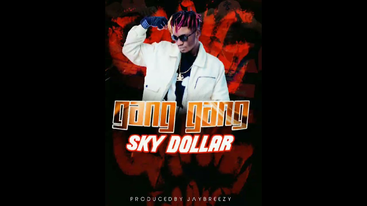 Sky Dollar Gang Gang Official mp3