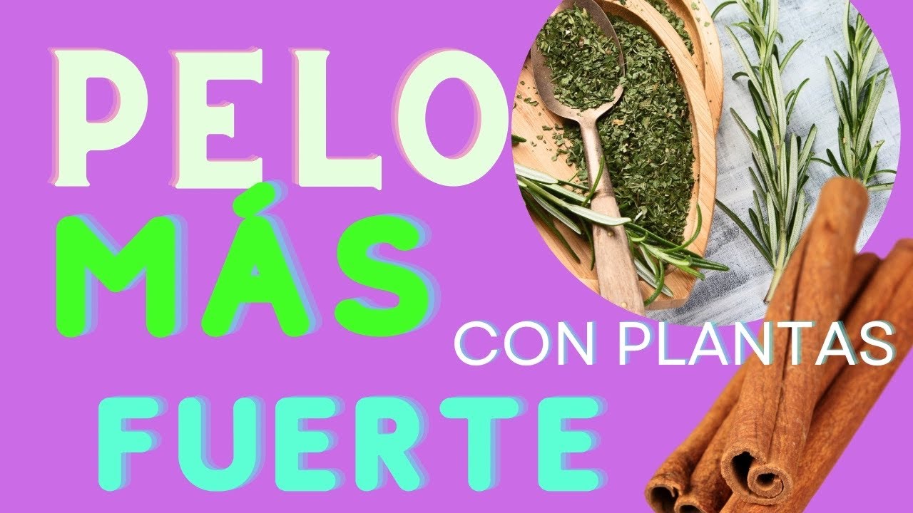🌱☘️  Aprende C&oacute;mo Hacer ACEITE CAPILAR Natural con Plantas. &iexcl;&iexcl;Evita y FRENA la CA&Iacute;DA!! ✅✅