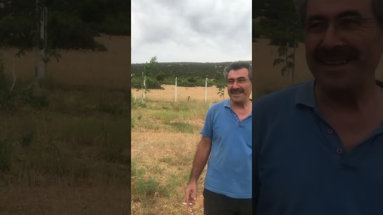 221 dikim tülare bahçesi
