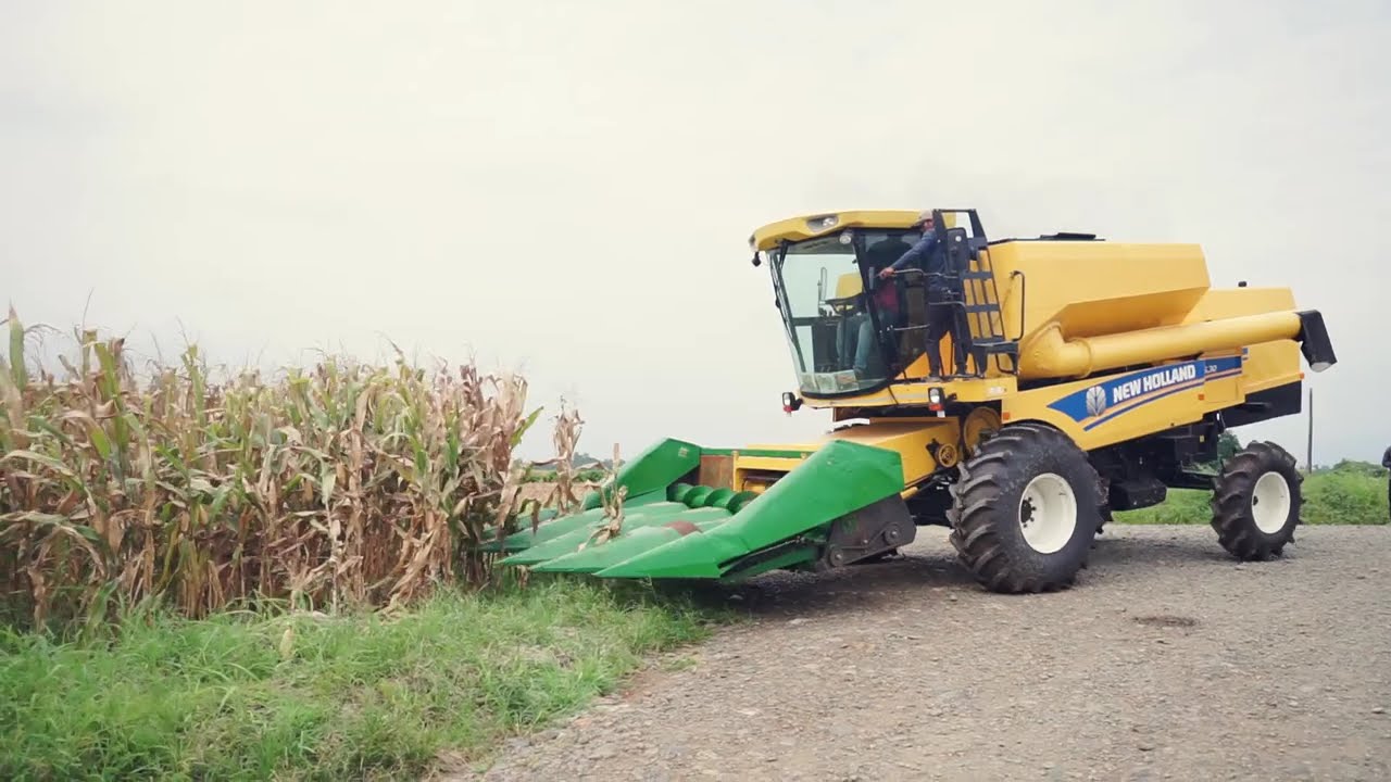 ¡Cosechadora New Holland TC5.30 en Acción! 🌾🚜💪