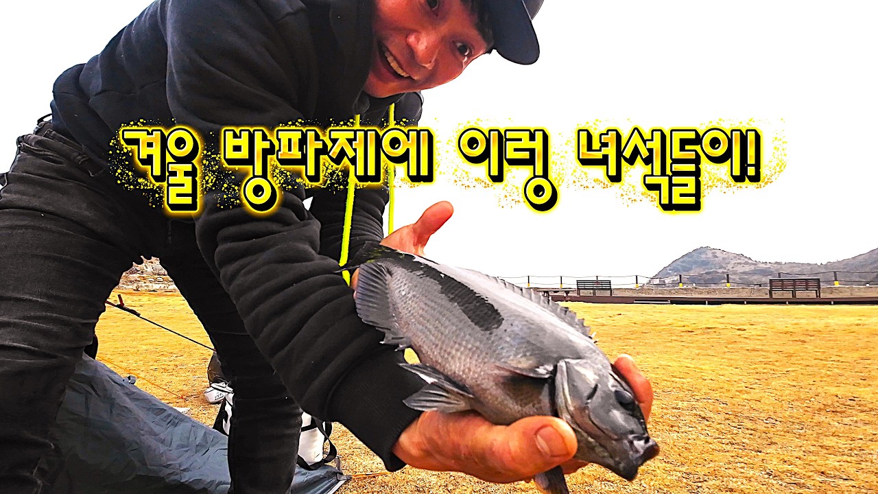 씨알굵은 겨울 별미 잡아서 먹어보자 방파제 벵에돔낚시 볼락낚시