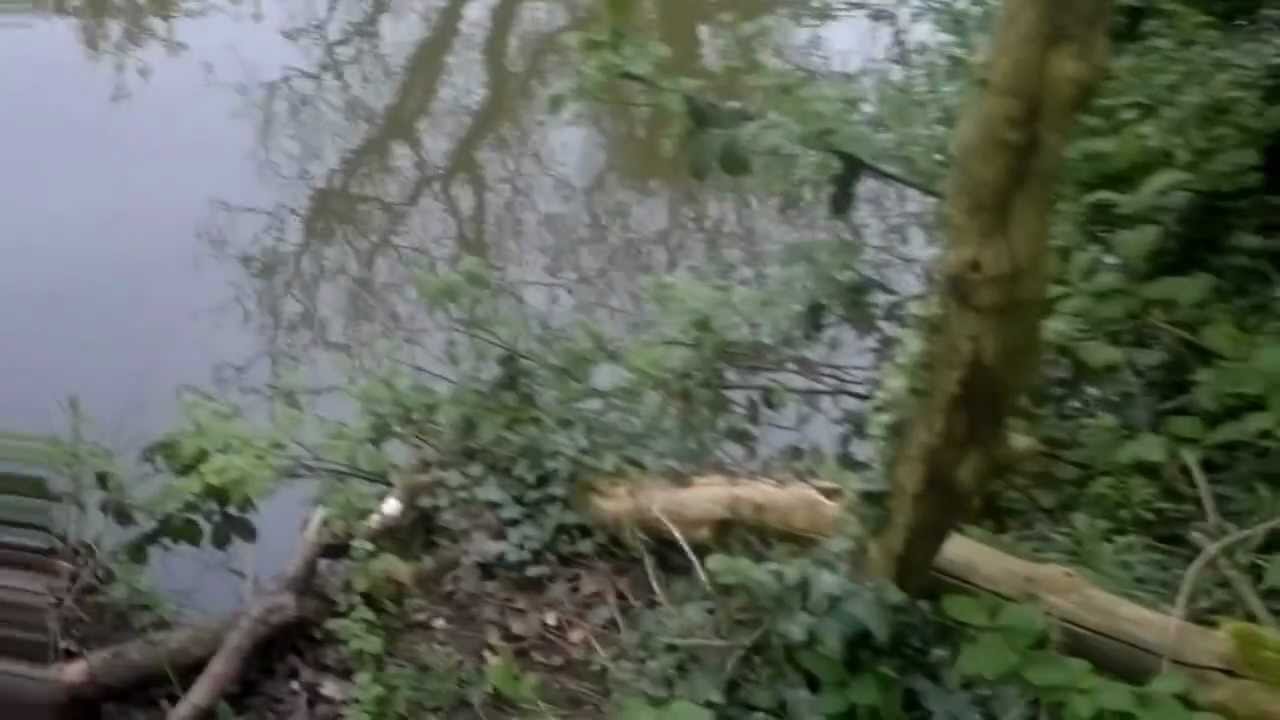 hudsons farm fishery