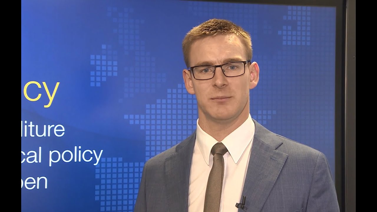 Daragh Clancy: ESM Working Paper #4 on Govt expenditure&fiscal pol spillovers