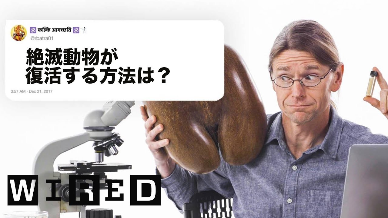 生物学者だけど質問ある？ | Tech Support | WIRED.jp