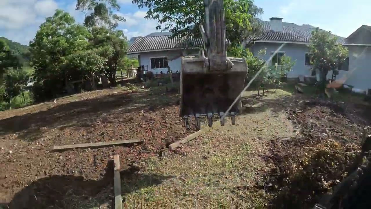 Escavadeira destocando parerau de uva