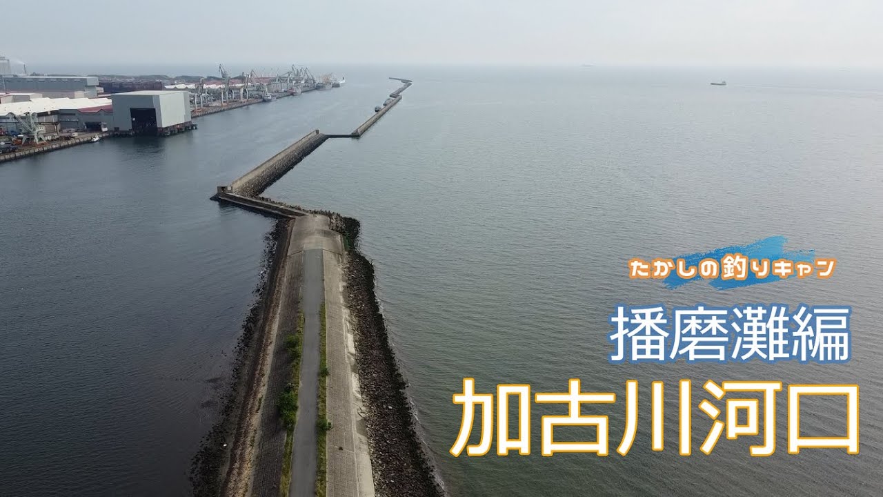 播磨灘ポイント 加古川河口  穏やかな播磨灘に注ぎ込む一級河川の河口はシーバスのランカークラスが狙える有望ポイント！