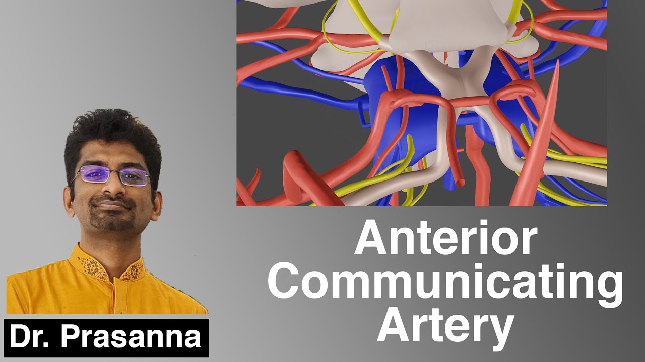 Anterior Communicating Artery Aneurysm