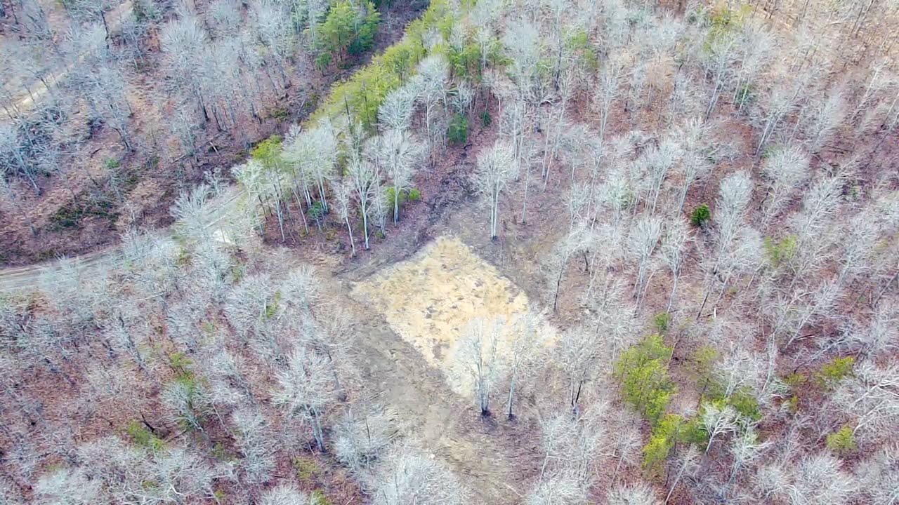 245 Old Beaty Private Drive in Winfield, TN 37892 - 5.05 acres (homesite cleared)