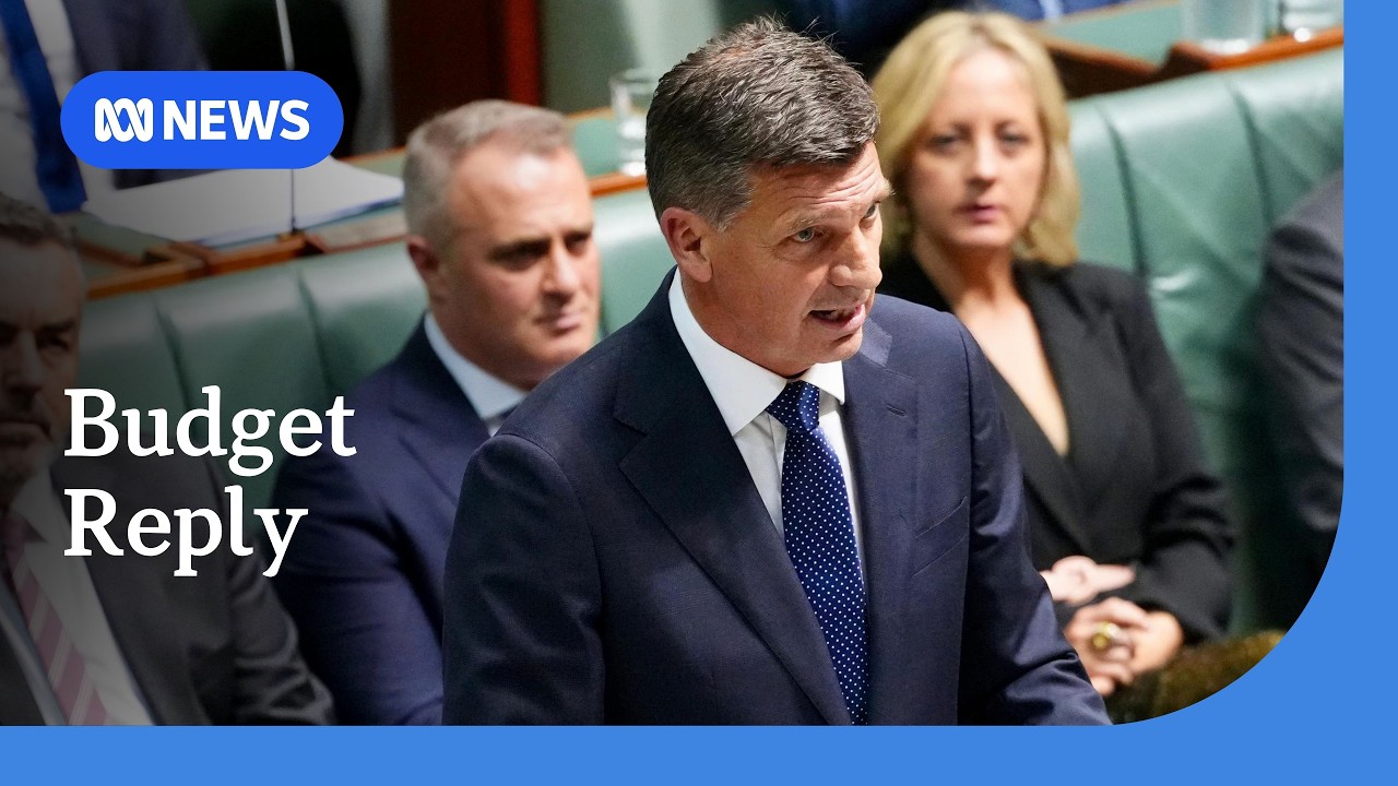 Taylor details plans to cut migration, reduce income tax in budget reply | ABC NEWS