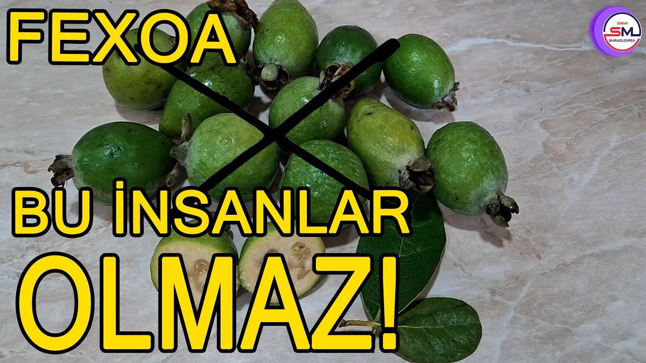 Bu meyvənin nələr etdiyini 90% insan bilmir