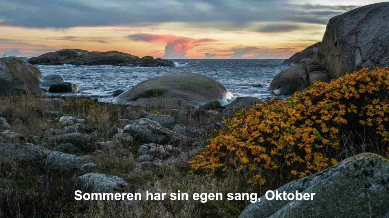 OKTOBER 1