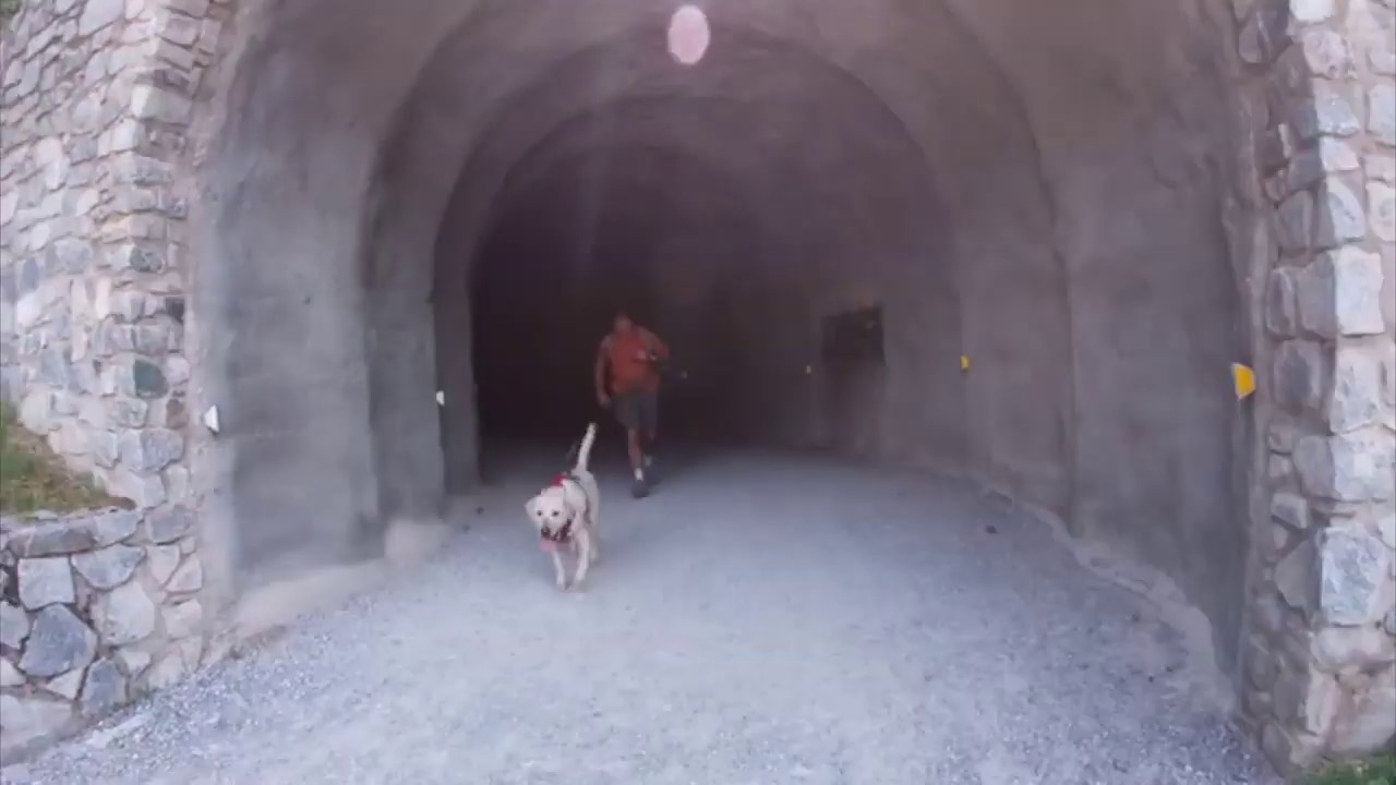 Canningcross con perros guia para ciegos (Xavier Mandico, y su hijo)