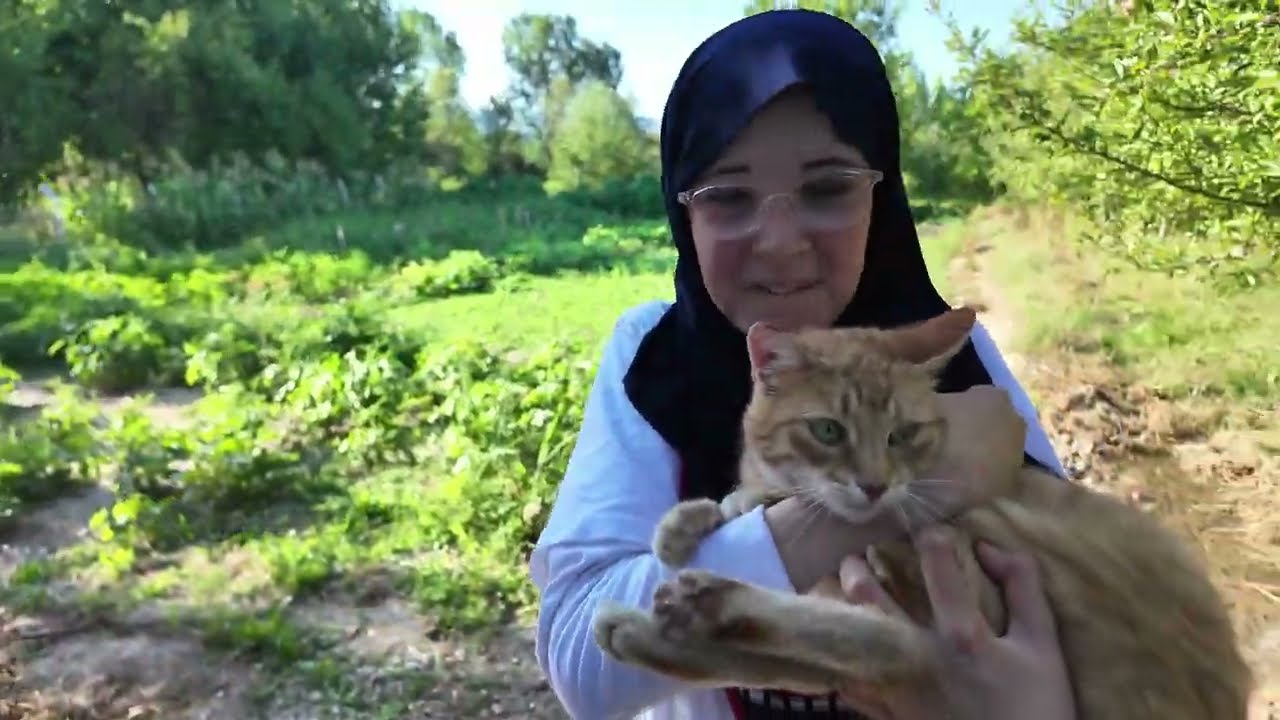 Bahçede bir limon bamya domates biber mısır 🌽 topladık güzel bir gün oldu