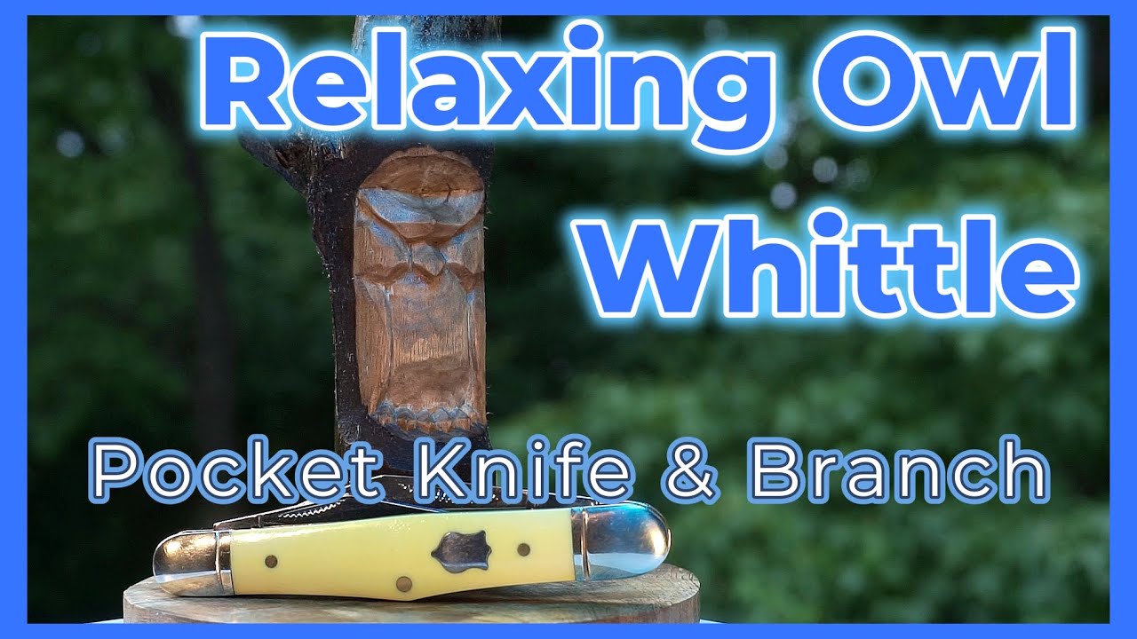 Relaxing Owl Pocket Knife Whittle (Dogwood Branch)