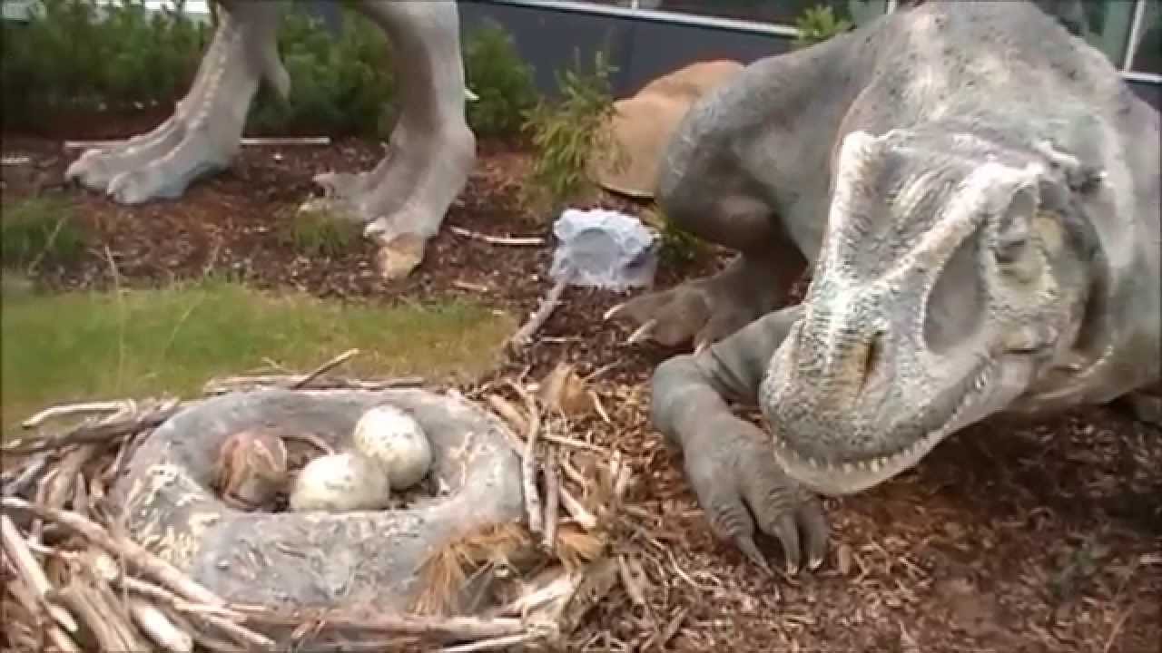 Dinosauři - DinoPark Praha prohlídka dinosaurů. Čtvrtý díl. 4.