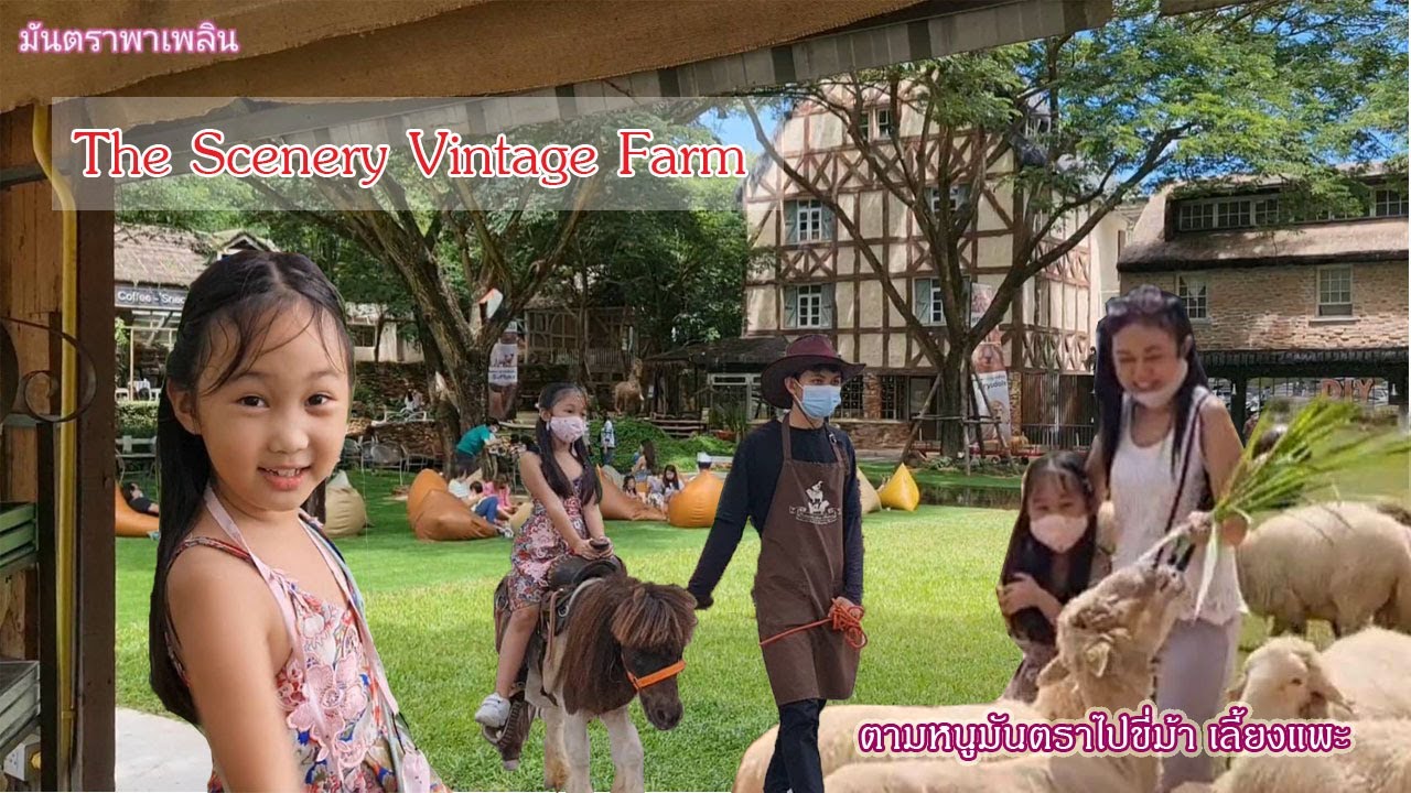 The Scenery Vintage Farm ขี่ม้า ให้อาหารแพะ ที่ฟาร์มวินเทจ สวนผึ้ง ราชบุรี กันค่ะ /มันตราพาเพลิน