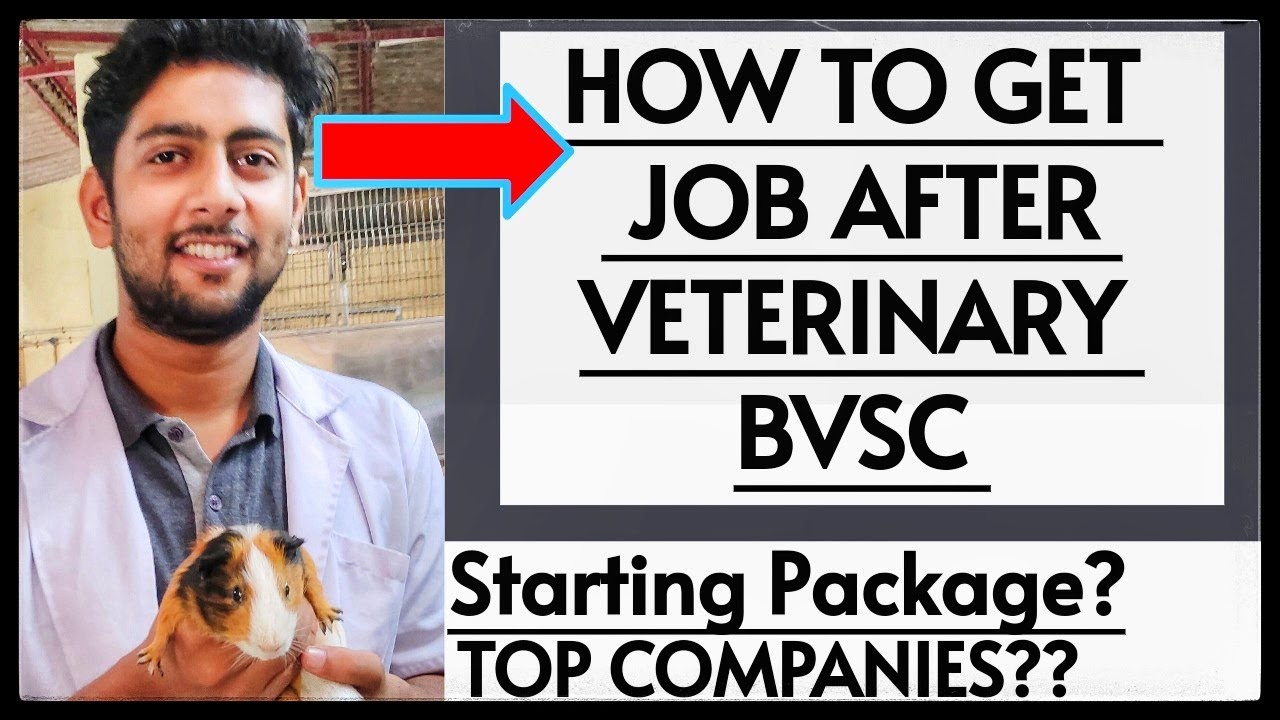 HOW TO FIND JOBS IN VETERINARY COMPANIES HIRE VETERINARIANS IN INDIA PRIVATE JOB VACANCY LINKEDIN