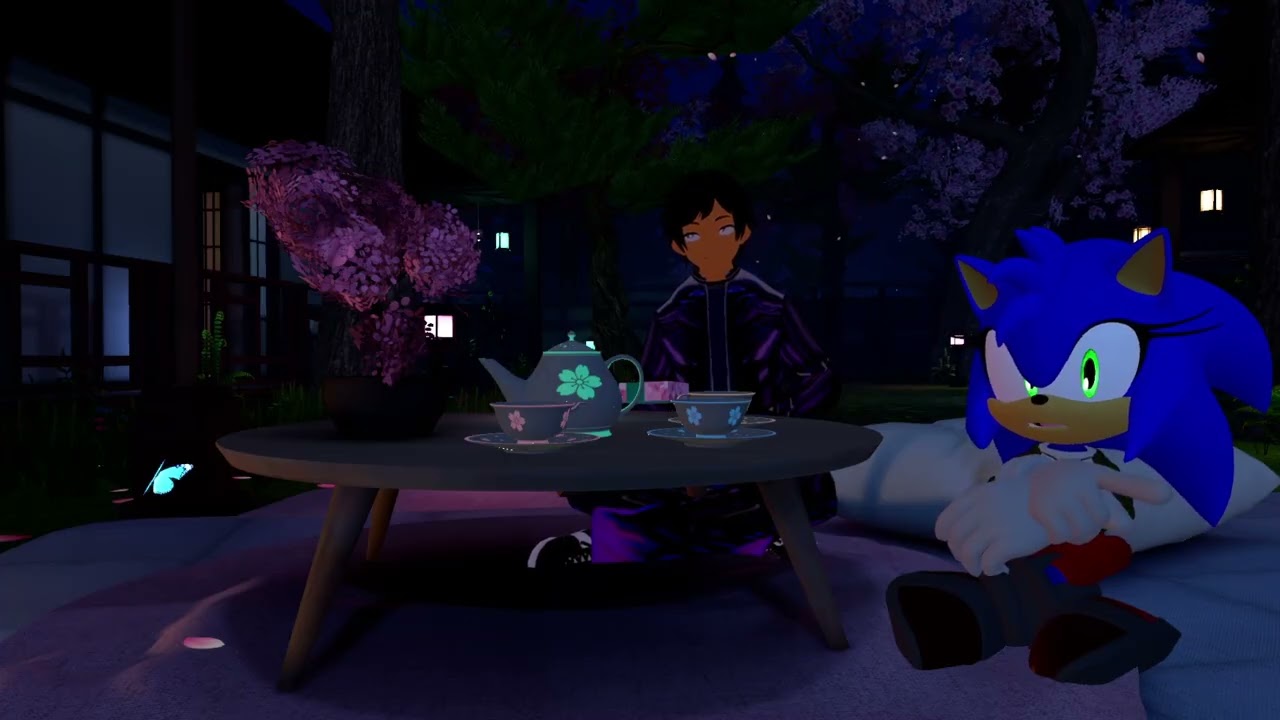 This Needs to Be Fixed and We Need your Help:  Sonic Speed Network and Gotta Go Fast