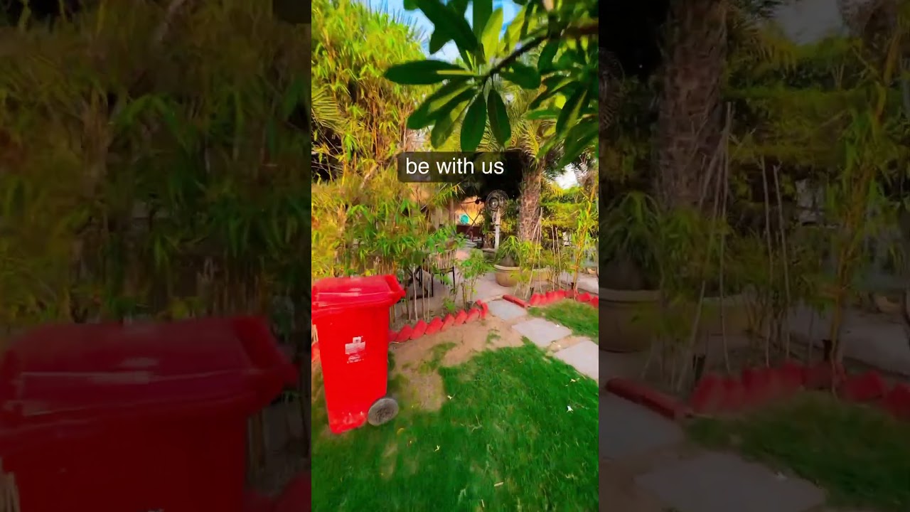 staycation near to delhi noida gurgoan #resort #delhi #hotel #travelvlog #themismudhouse #foodlover