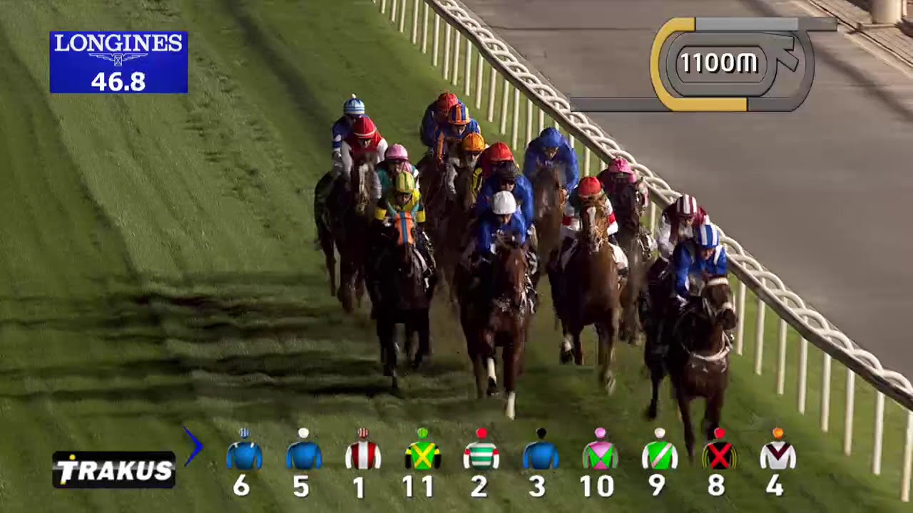 Race 7 Dubai Turf Sponsored by DP World