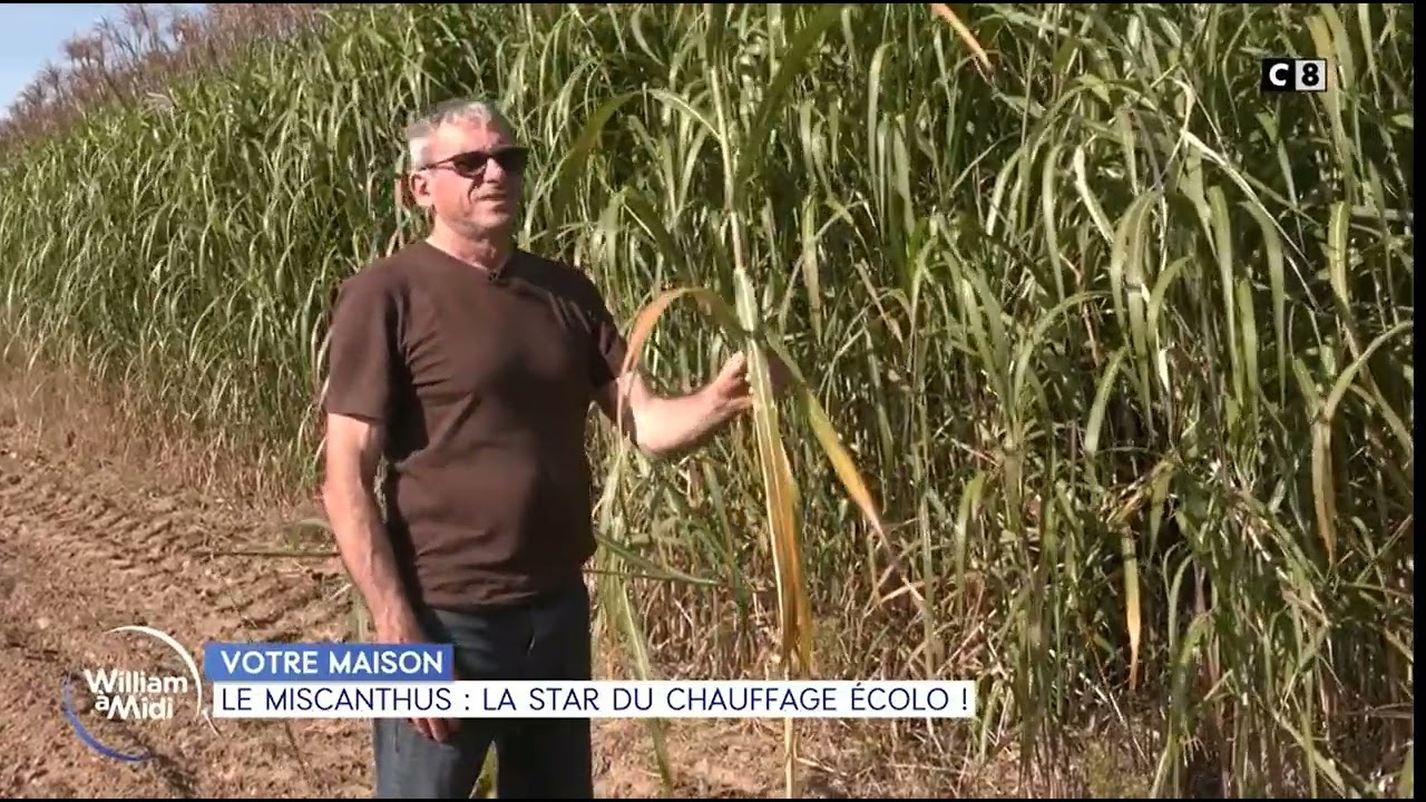 REPORTAGE - La chaudière au #miscanthus de Saint-Mards-de-Blacarville