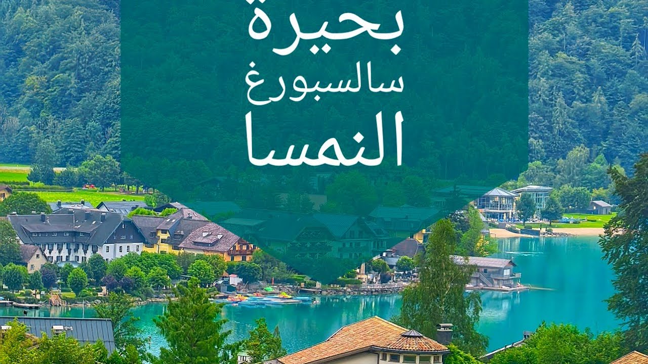 رحلة مع صديقي الاردني بجوار احد البحيرات في النمسا . سالسبورغ . وطبخ قلاية طماطم اردنية