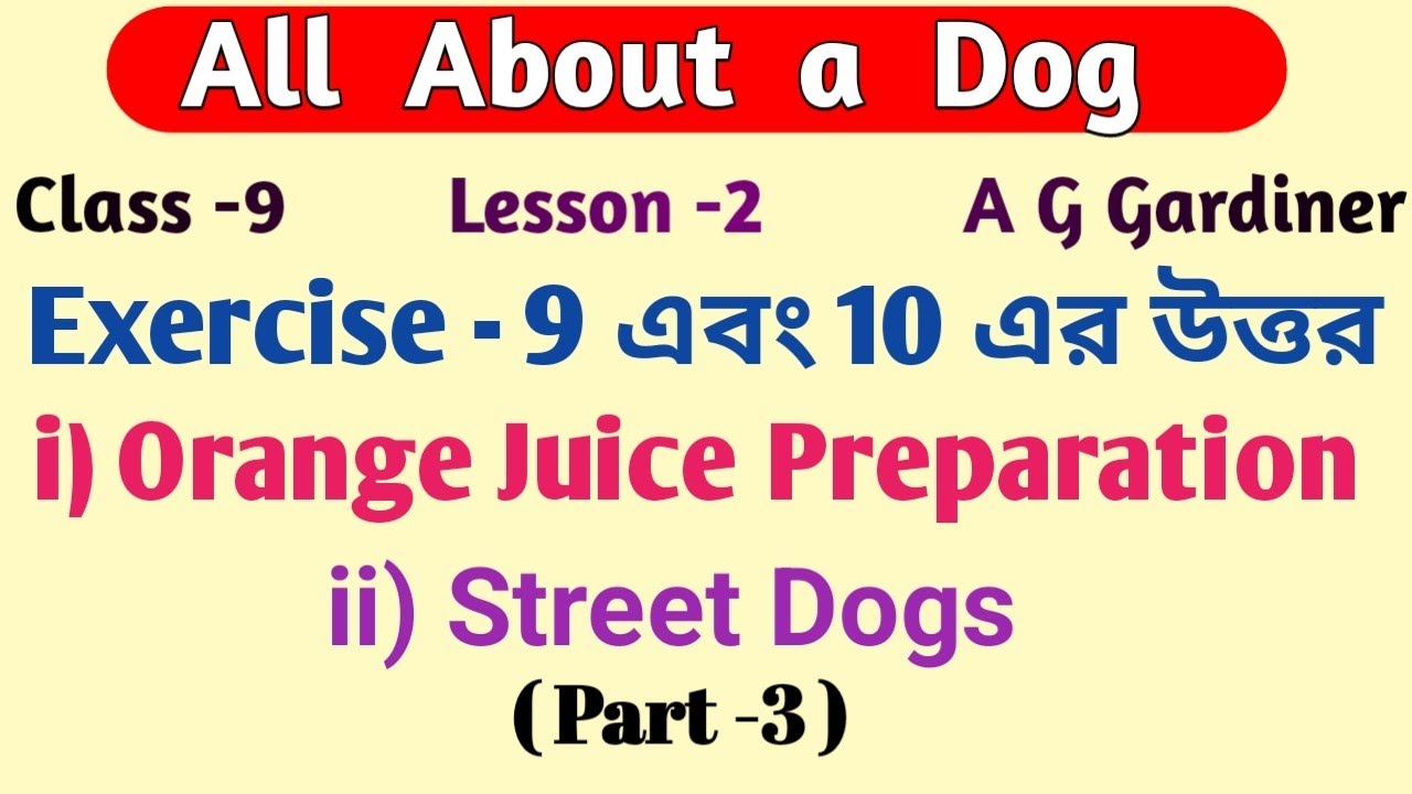 'All About a Dog'/ Exercise 9 এবং 10 এর উত্তর/Class - 9/ Orange Juice Preparation & Street Dogs