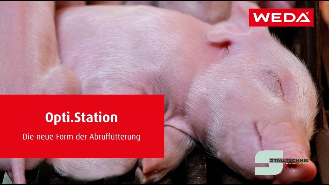 Stalltechnik-B Service Kft. - WEDA Opti.Station – Az igény szerinti etetés új formája