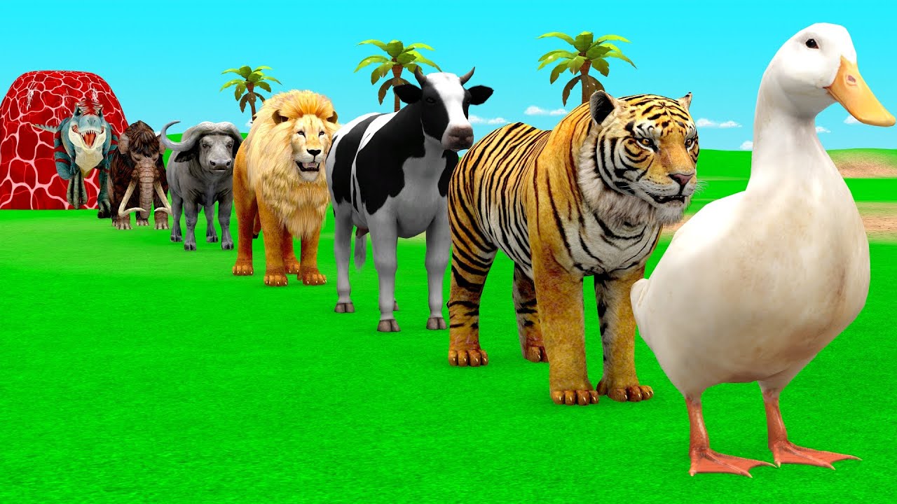 Long Slide Game with Cow Elephant Gorilla Hippopotamus Tiger 3d Animal Game Funny 3d Animals