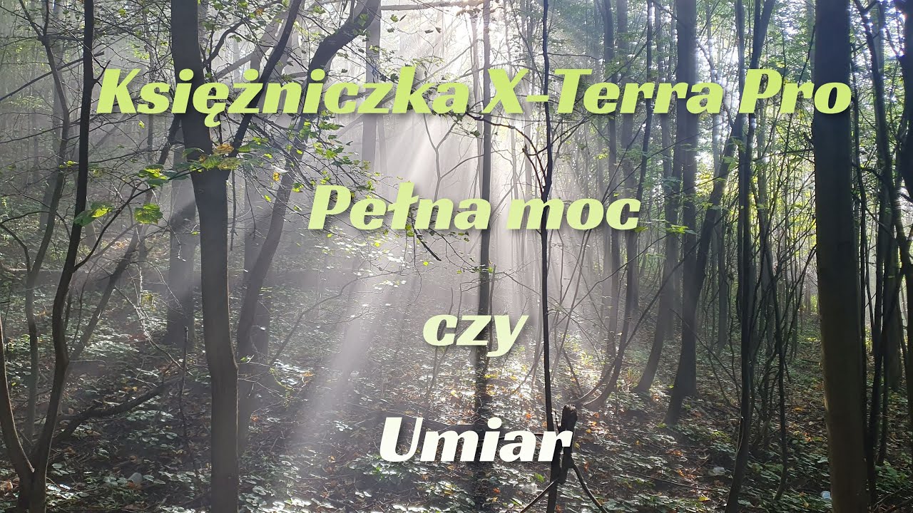 Minelab X terra Pro - Pełna moc czy umiar