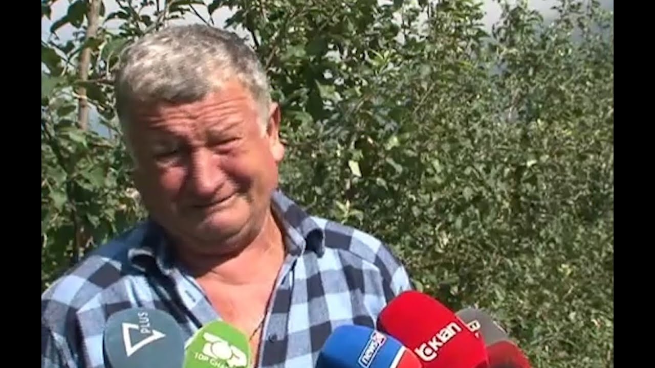 Breshëri dëmton mollët e Devollit, fermerët me lot në sy: Shkoi dëm mundi, u prishën të gjitha