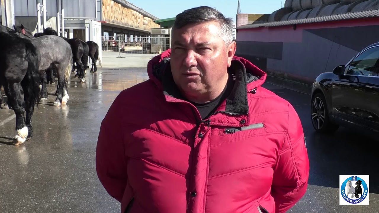 -Reprodukcijski centar hrvatskog hladnokrvnjaka u Podgoraču kod Šarića-02.01.2019.