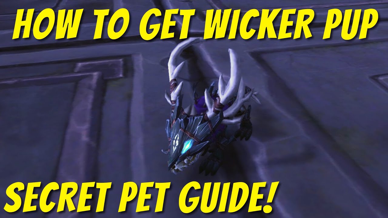 How to get Wicker Pup, the secret battle pet in Drustvar! | BfA