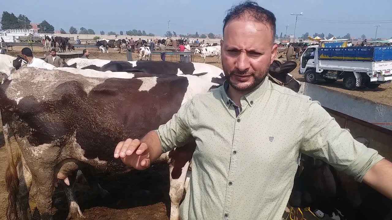 نصائح هامة جدا من البشمهندس محمد السعيد موسي صاحب شركة أعلاف دهب ميلانو
