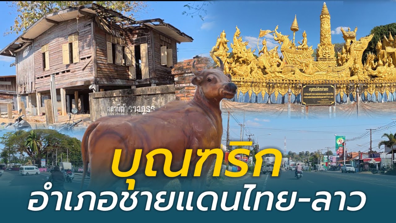 บุณฑริกถิ่นบัวขาว อำเภอชายแดนไทย-ลาว จ.อุบลราชธานี