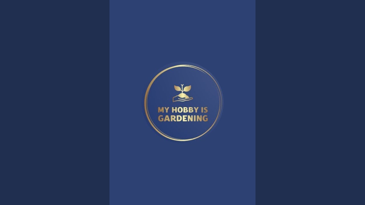 My hobby is gardening  is live with snake plant