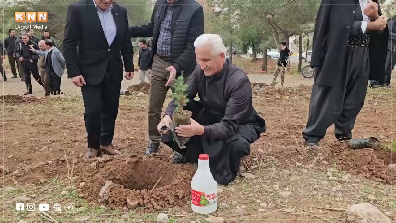 لە هەڵمەتێکدا لە قەزای كۆیە چوار هەزار نەمام چێنران