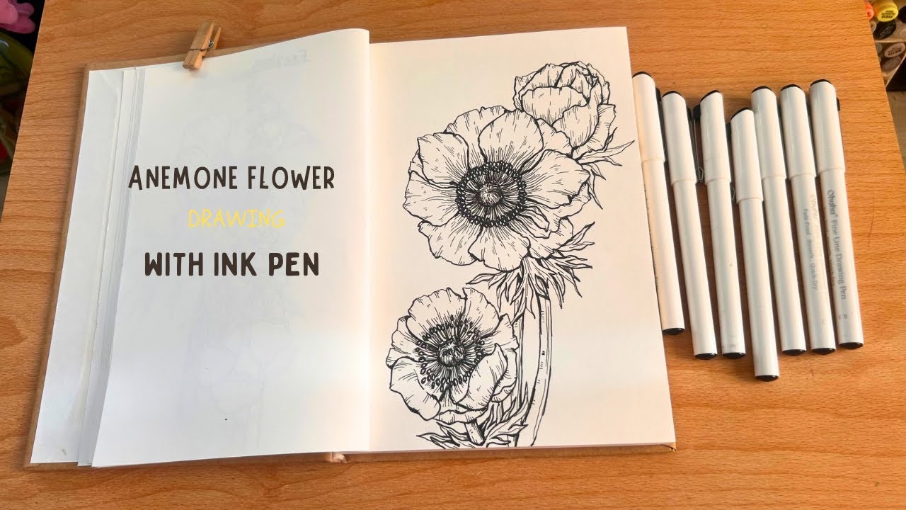 Draw with me/ Realistic Anemone flowers with ink pen/ Step by Step 🌸