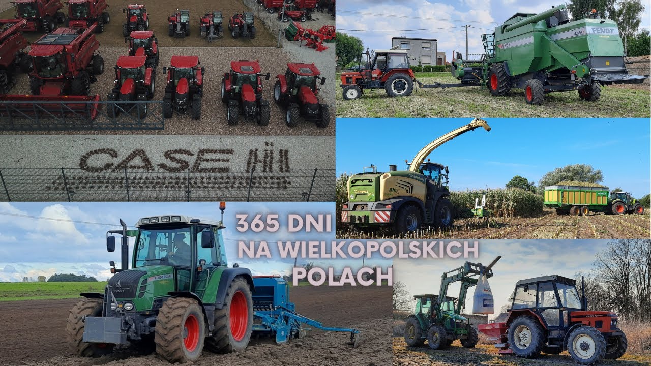 ☆365 Dni na Wielkopolskich Polach ✔Luki 1290✔