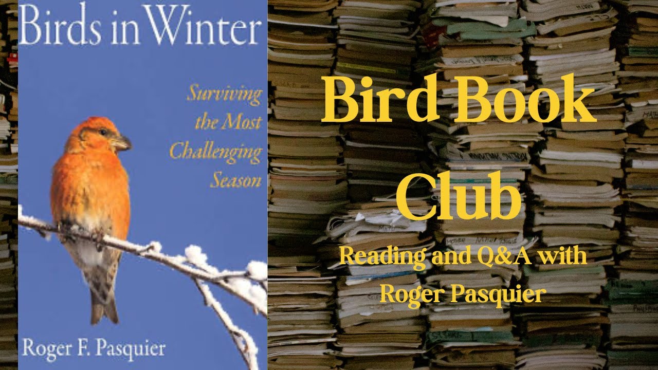 Birds in Winter by Roger Pasquier - Bird Book Club