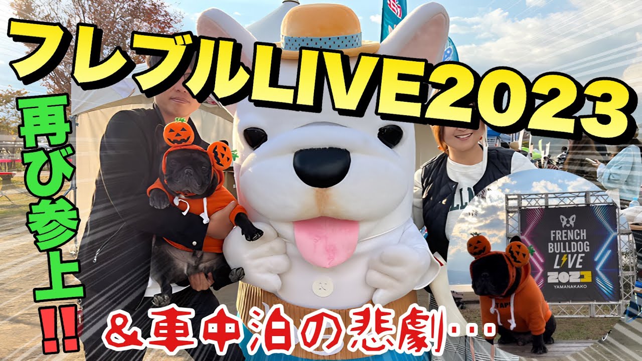 【フレブルLIVE2023 】イベントに潜入！入った時と終わった時の顔の老け方がおもろすぎたwそして車中泊で悲劇が起こる・・・