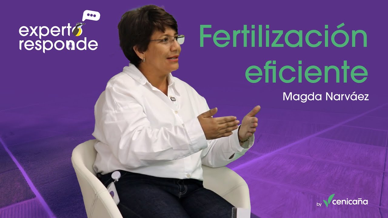 Magda Narváez - Fertilización eficiente para mejorar la productividad en los cultivos