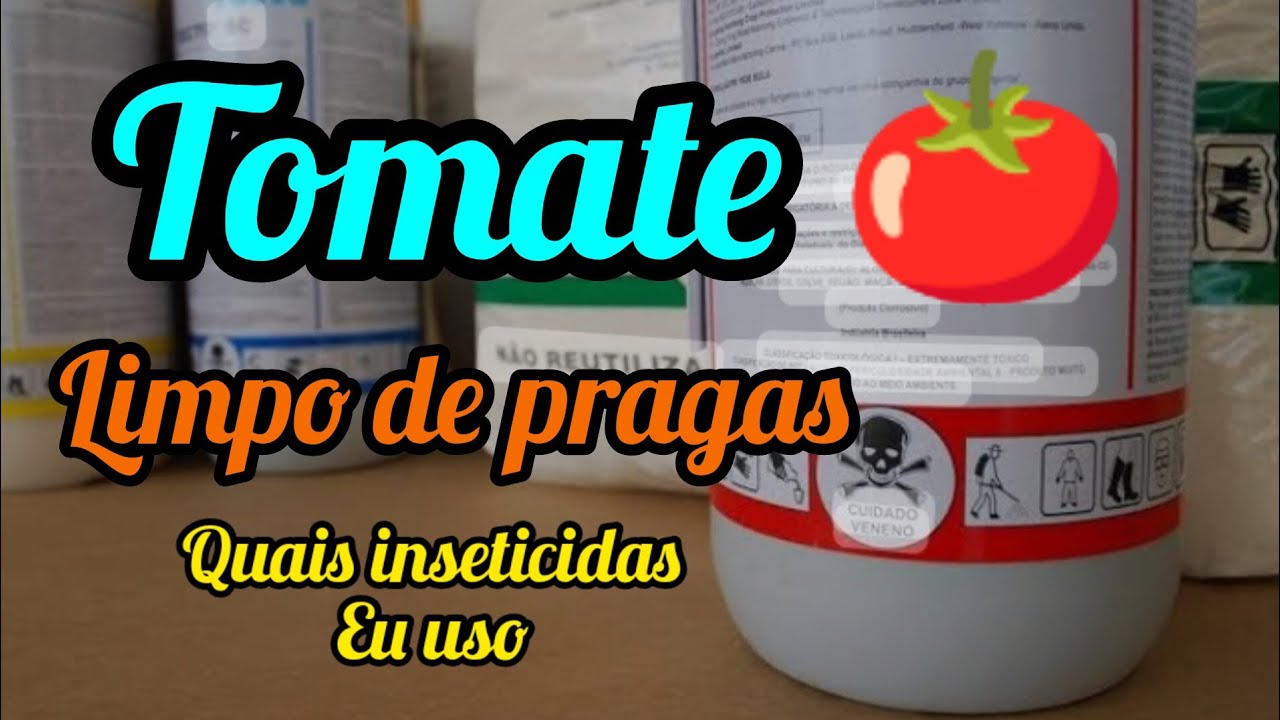 tomate limpo de pragas ! quais inseticidas eu estou usando?